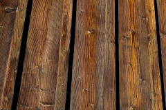 aurina_alt_fichte_2