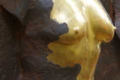 torso-genau