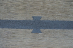 DSC5177