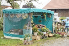 riedhof_2016-14