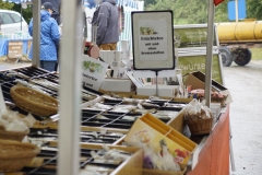 riedhof_2016-15