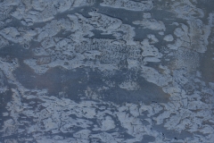 DSC5190