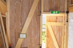 Rochlhaus_Thaining-18