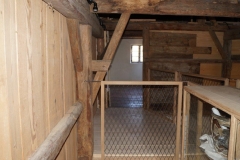 Rochlhaus_Thaining-45