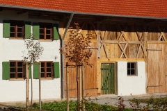 Rochlhaus_Thaining-6