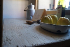 Rochlhaus_Thaining-62