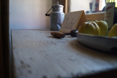 Rochlhaus_Thaining-63